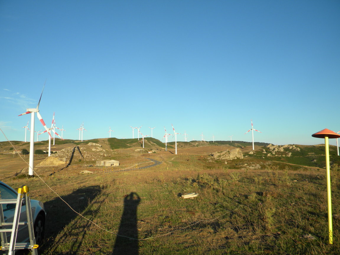 DSCN0296 .JPG